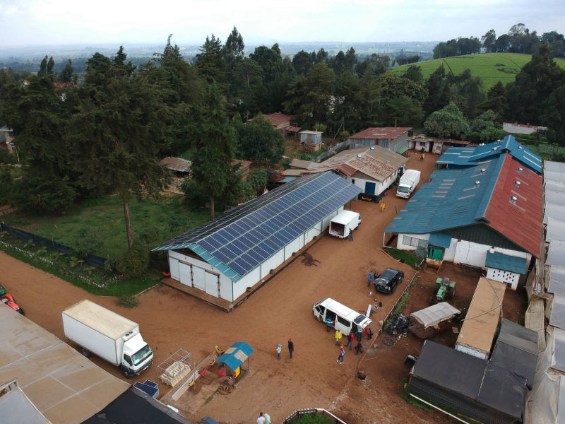 60 kW grid-tied | 1 day, Utee, flower farm, Kenya